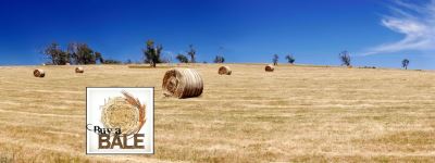 Help Drought Stricken Australian Farmers - Buy A Bail