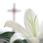 easter lilly and cross.jpg