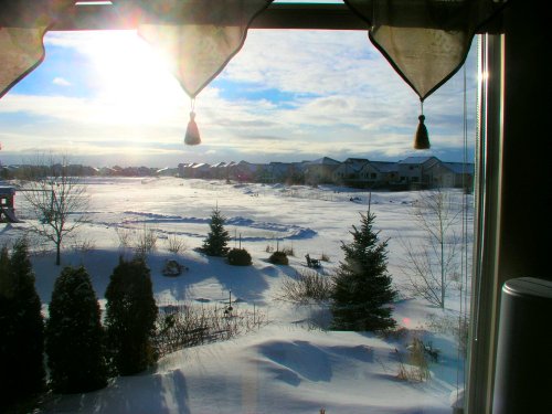 Winter through the window.jpg