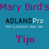 Mary_Bird_Adlandpro_tips.jpg