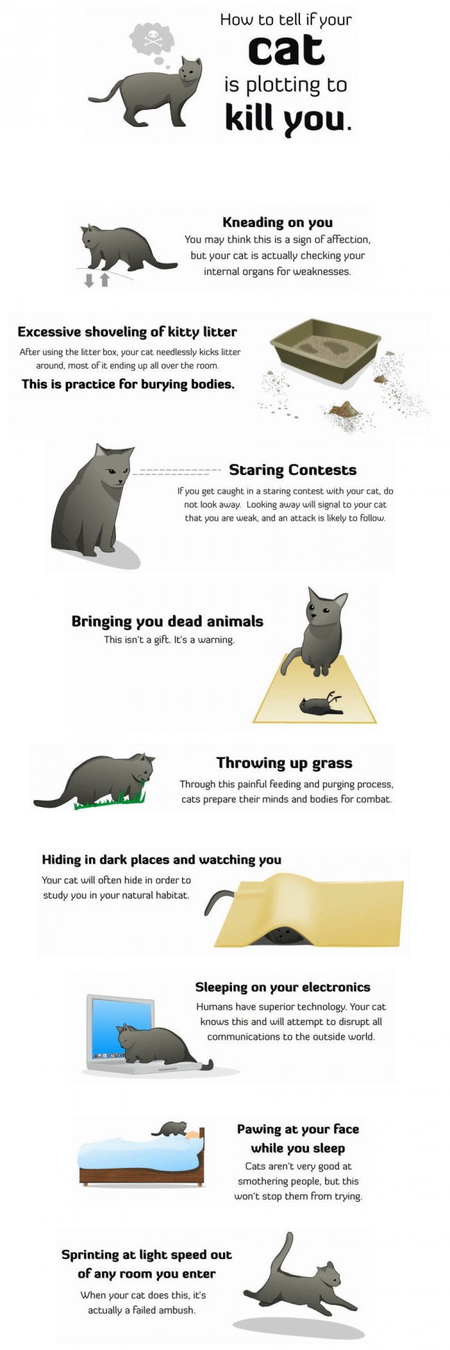how to tell if your cat is trying to kill you.jpg