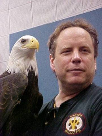 eaglefreedom.jpg