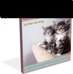 pregnant-cat-book-cover.jpg