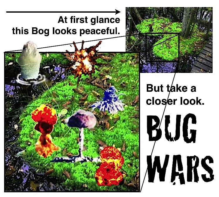 BUG WARS.jpg