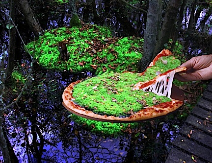 swamp pizza.jpg