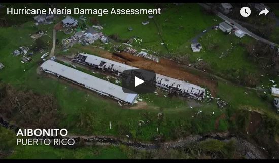 Hurricane-Maria-Damage-Assesment_video