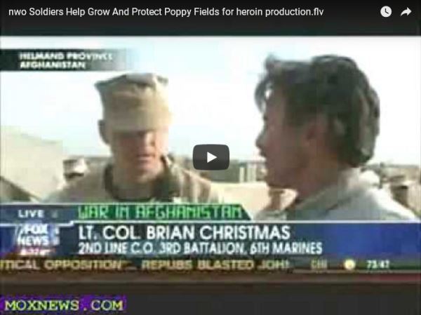 Soldiers-helphgrow-and-protect-poppy-fields-for-heroin_video