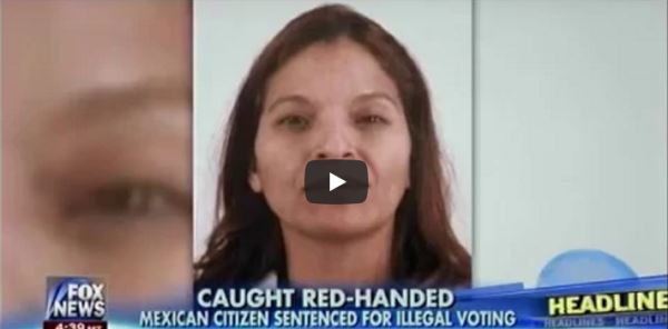 Illegal Alien Voted 5 Times - Caught Red-Handed_video