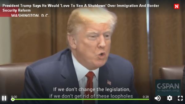 'Love To See a Shutdown Over Immigration'_video