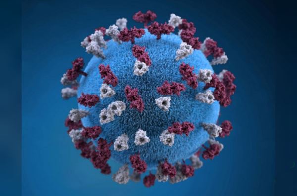3D graphical representation of a measles virus particle