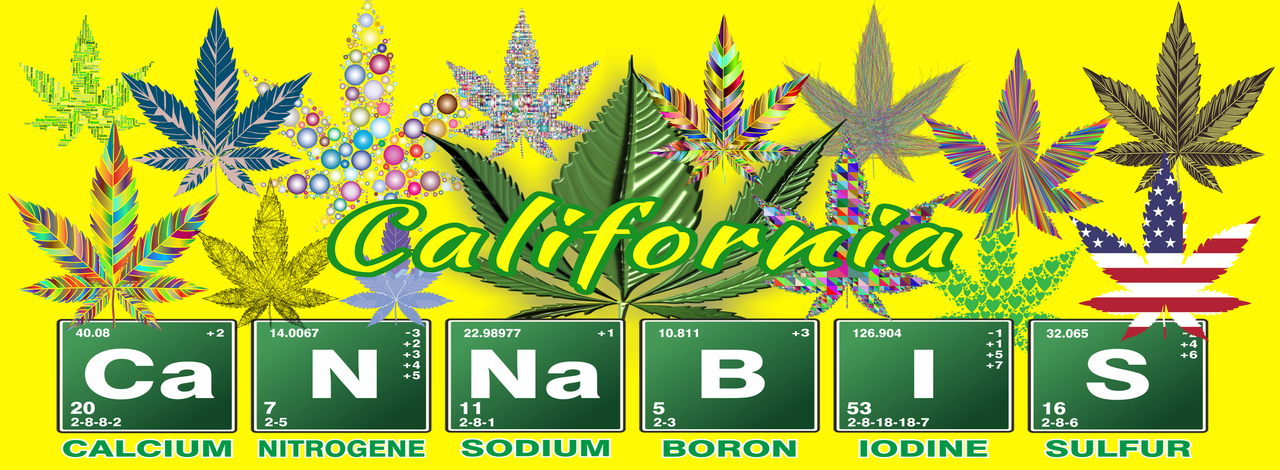 California-weedlocal-directory.png