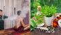 Healthcare and Wellness