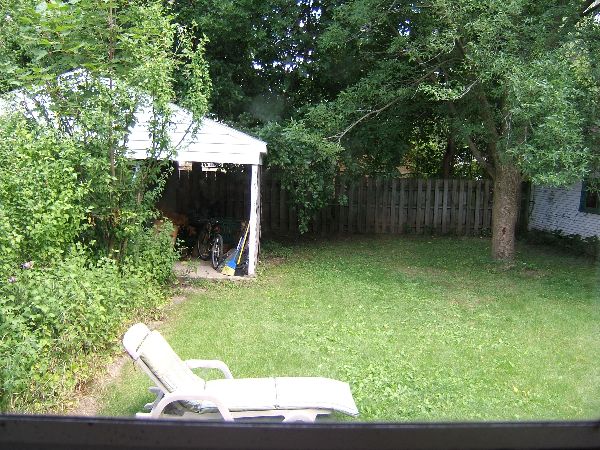 backyard