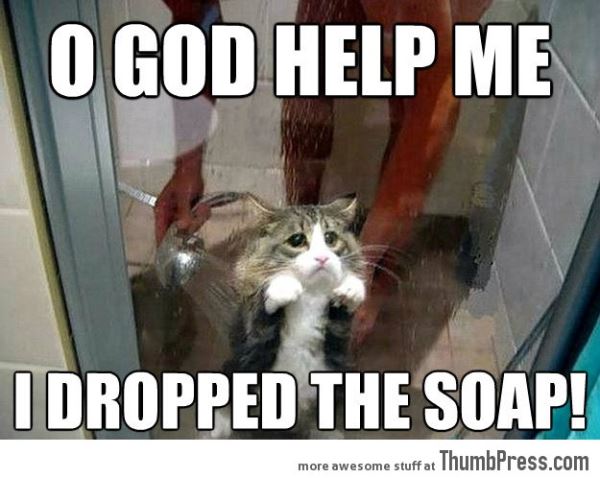 Dropped Soap