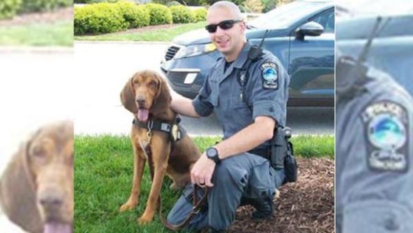 GA Police Dog Dies in Patrol Car