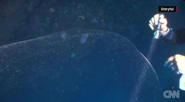 Blob found by divers off the coast of Turkey