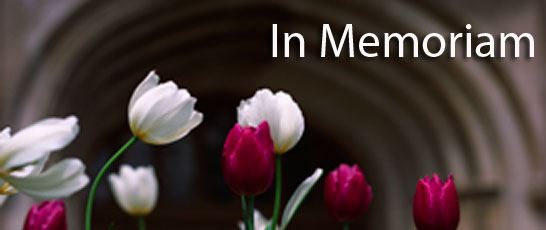 Created a link to rest my grief