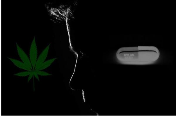 Colorado sued by Veterans ~ prefer Marijuana over Corporate pills