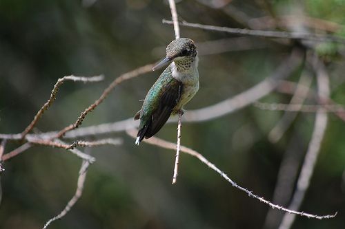 Are You Watching Me? by Mary Smith