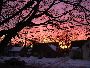 Valentine's Eve Sunset by Kathleen Vanbeekom